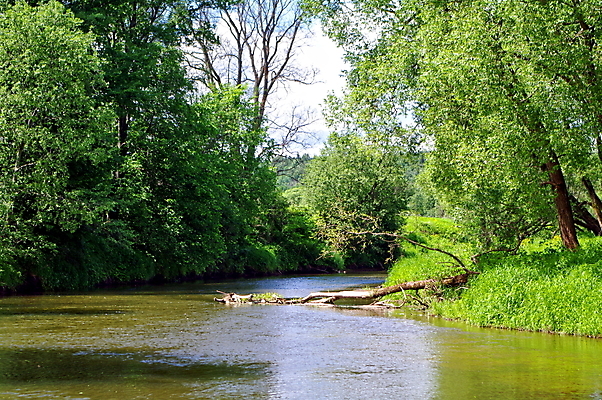 포토 JPG 해외이미지 나무 식물 구름 계절 공원 호수 여행 백그라운드 잎 자연 하늘 풍경 사람없음 야외 초록색 물 여름 파란색 강 햇빛 반사 맑음 봄 시골 신선 숲 땅 장면 내추럴 파라다이스 수평선 해외202004 해외포토 자연요소 공공시설 컬러 날씨 태양 생태계 파일형식 이미지허브