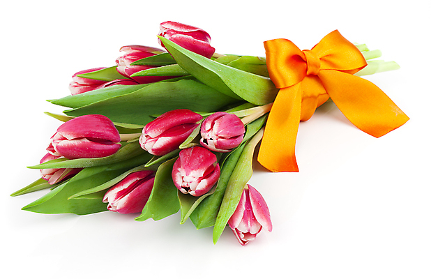 포토 JPG 해외이미지 계절 기념일 꽃 리본 꽃다발 백그라운드 꽃무늬 기념 사람없음 장식 초록색 노란색 우주 봄 튤립 벚꽃 흰색 축하 인사 신용카드 생일 다발 배열 활 카피스페이스 해외202004 해외포토 식물 컬러 컨셉 무늬 이벤트 금융 공백 예절 파일형식 이미지허브