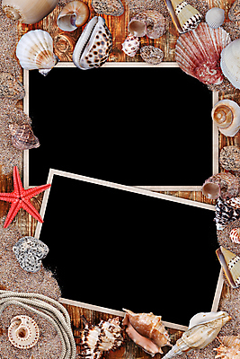 포토 JPG 해외이미지 별 모래 바다 백그라운드 자연 휴가 조개 불가사리 프레임 사람없음 컬러풀 환경 사진촬영 껍질 수집 묘사 그림 질감 엽서 내추럴 생태학 해외202004 해외포토 자연요소 교육 컬러 어패류 극피동물 촬영 편지 생태계 파일형식 이미지허브