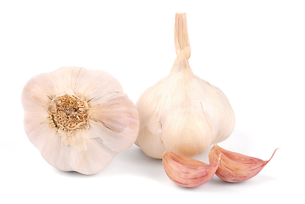 포토 JPG 해외이미지 음식 채소 전구 마늘 요리 사람없음 향신료 흰배경 해외202004 해외포토 백그라운드 흰색 향미료 파일형식 이미지허브