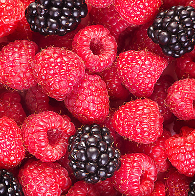 포토 JPG 해외이미지 열매 음식 백그라운드 다이어트 과일 디저트 건강 사람없음 빨간색 검은색 식사 신선 달콤 맛 숲 먹기 심플 아로마 산딸기 블랙베리 흙더미 내추럴 과육 구성 숙성 채식주의자 해외202004 해외포토 식물 컬러 컨셉 모션 흙 채식 파일형식 더미 이미지허브