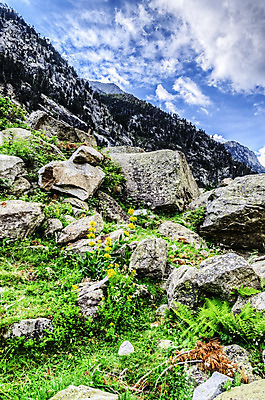 포토 JPG 해외이미지 구름 응시 꽃 유럽 자연 하늘 산 그림자 사람없음 야외 초록색 파란색 빛 컬러풀 환경 성장 흰색 스페인 언덕 암초 내추럴 해외202004 해외포토 자연요소 식물 시선 나라 컬러 생태계 파일형식 이미지허브