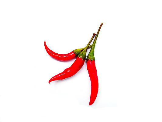 포토 JPG 해외이미지 식물 라이프스타일 음식 백그라운드 채소 재료 고추 파프리카 건강 요리 사람없음 빨간색 초록색 추위 흰색 신선 뜨거움 양념 그룹 달콤 맛 자르기 먹기 향신료 오브젝트 유기농 매움 향료 후추 연소 고립 숙성 채식주의자 할라피뇨 해외202004 해외포토 웰빙 컬러 컨셉 모션 생활 채식 향기 냄새 향미료 파일형식 이미지허브