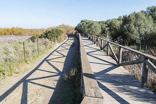 포토 JPG 해외이미지 나무 동물 계절 공원 호수 야생동물 여행 날개 오렌지 가족 자국 자연 조류 휴식 풍경 사람없음 야외 빨간색 초록색 파란색 컬러풀 노란색 평화 환경 침묵 봄 연못 개울 황무지 떨어짐 습지 신화 물새 철새 석호 내추럴 동물상 전국 해외202004 해외포토 식물 공공시설 컬러 컨셉 과일 관계 강 조형물 소리 생태계 파일형식 이미지허브