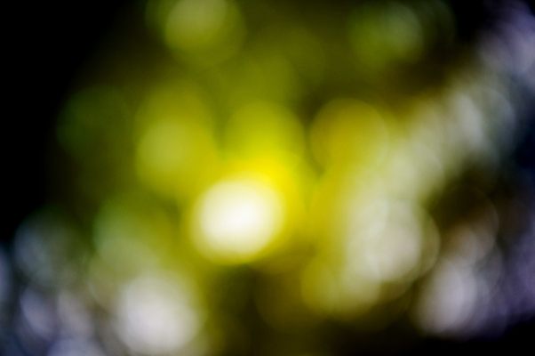 포토 JPG 해외이미지 디자인 분홍색 백그라운드 크리스마스 패턴 오렌지 벽지 하늘 추상 휴가 새로움 미술 경사 사람없음 파란색 빛 컬러풀 태양 파티 우주 환경 축제 봄 할로윈 회색 흰색 축하 원형 소프트포커스 연도 질감 보케 부드러움 해피뉴이어 공상 마법 천국 블러 엘리먼트 파스텔톤 효과 해외202004 해외포토 자연요소 도형 계절 기념일 컬러 컨셉 무늬 과일 문화예술 촬영기법 이벤트 새해인사 감각 파일형식 이미지허브