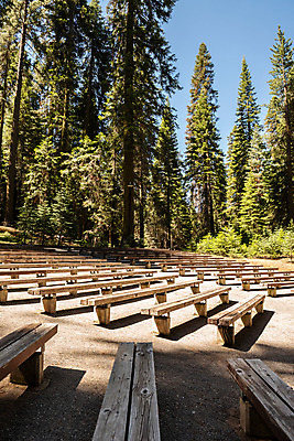 포토 JPG 해외이미지 나무 공원 자연 국립공원 사람없음 야외 목재 여름 미국 숲 캠핑장 캘리포니아 내추럴 전국 해외202004 해외포토 식물 계절 공공시설 북아메리카 재료 캠핑 생태계 파일형식 이미지허브