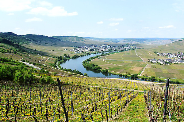 포토 JPG 해외이미지 사람없음 해외202004 해외포토 파일형식 이미지허브