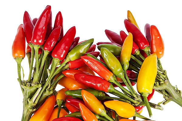 포토 JPG 해외이미지 음식 채소 오렌지 재료 자연 고추 파프리카 건강 사람없음 장식 빨간색 초록색 컬러풀 노란색 쌓기 식사 신선 양념 작음 묘사 흰배경 유기농 날것 후추 흙더미 내추럴 고립 구성 해외202004 해외포토 웰빙 컬러 백그라운드 과일 모션 흙 흰색 크기 향신료 생태계 파일형식 더미 이미지허브