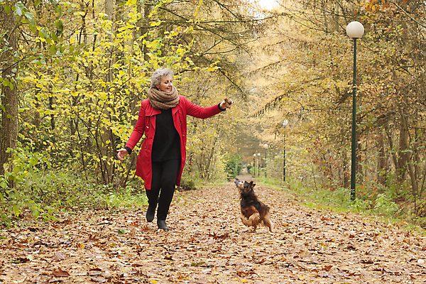 포토 JPG 해외이미지 행복 중년 잎 포유류 놀이 한명 미소 사람 반려동물 달리기 걷기 목도리 재킷 가을 막대기 개 숲 망토 11월 은퇴 송곳니 10월 기르기 신앙심 유래 해외202004 해외포토 식물 동물 1 잡화 계절 감정 모션 표정 성인 외투 날짜 치아 돌봄 파일형식 이미지허브