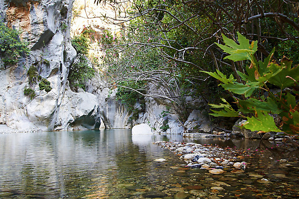 포토 JPG 해외이미지 나무 식물 여행 잎 자연 산 풍경 사람없음 초록색 물 여름 강 반사 환경 골짜기 계곡 활발 흐름 바위 개울 황무지 숲 순수 지역 멀리 해외202004 해외포토 자연요소 계절 컬러 컨셉 돌_바위 생태계 파일형식 이미지허브