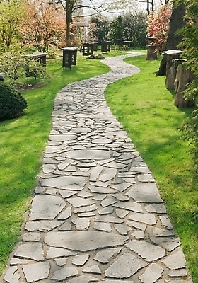 포토 JPG 해외이미지 나무 계절 공원 도로 길 백그라운드 잎 자연 풍경 사람없음 야외 초록색 햇빛 환경 정원 봄 오솔길 싱글 해외202004 해외포토 식물 공공시설 컬러 교통시설 태양 생태계 파일형식 이미지허브