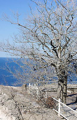 포토 JPG 해외이미지 나무 식물 바다 섬 자연 하늘 독일 국립공원 사람없음 물 나뭇가지 분필 발트해 보호구역 해외202004 해외포토 자연요소 공원 유럽 북유럽 초크 생태계 구역 파일형식 이미지허브