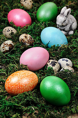 포토 JPG 해외이미지 전통 식기 디자인 음식 컨셉 탁자 조류 휴가 부활절 아이디어 이끼 사람없음 내부 목재 장식 컬러풀 계란 축제 치킨 수확 시골 축하 토끼 그리기 심볼 잔치 기념품 솜털 메추리 삶기 핸드메이드 스타일 해외202004 해외포토 나무 동물 기념일 컬러 가구 농업 재료 포유류 모션 반려동물 알 오브젝트 닭고기요리 파일형식 이미지허브