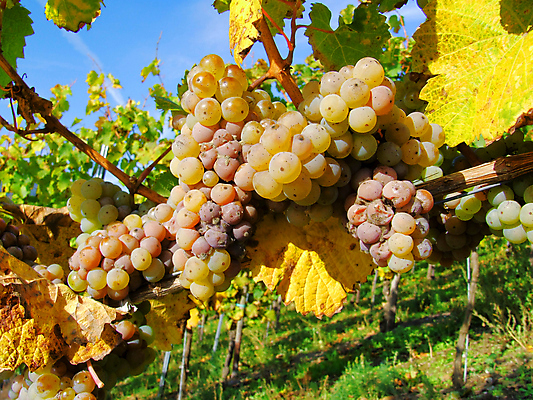 포토 JPG 해외이미지 사람없음 해외202004 해외포토 파일형식 이미지허브