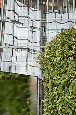 포토 JPG 해외이미지 나무 공원 컨셉 잎 비즈니스 건축양식 창문 자연 유리 사람없음 야외 내부 건물 초록색 사무실 반사 환경 금속 봄 거울 도시 에코 해외202004 해외포토 식물 건축물 계절 공공시설 건축 컬러 재질 생태계 파일형식 이미지허브