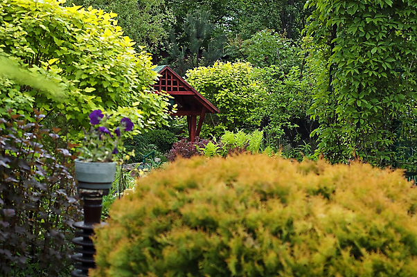 포토 JPG 해외이미지 나무 식물 꽃 자연 풍경 사람없음 정원 성장 가을 교외 해외202004 해외포토 계절 생태계 파일형식 이미지허브