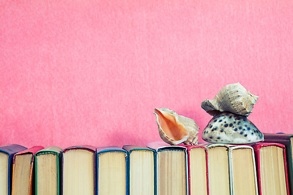 포토 JPG 해외이미지 모양 교육 야생동물 바다 여행 백그라운드 컨셉 자연 휴가 휴식 연체동물 나선형 사람없음 장식 책 세트 쌓기 껍질 나뭇가지 도서관 소라 수집 읽기 오브젝트 뇌 에코 기념품 페이지 원뿔 카피스페이스 해외202004 해외포토 도형 나무 동물 무늬 모션 어패류 무척추동물 환경 공백 생태계 파일형식 이미지허브