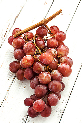 포토 JPG 해외이미지 식물 계절 열매 음식 농업 과일 자연 포도 건강 사람없음 빨간색 여름 수확 가을 신선 그룹 달콤 다발 유기농 날것 포도나무 내추럴 숙성 양조장 채식주의자 해외202004 해외포토 웰빙 산업 컬러 맛 과일나무 생태계 채식 파일형식 이미지허브