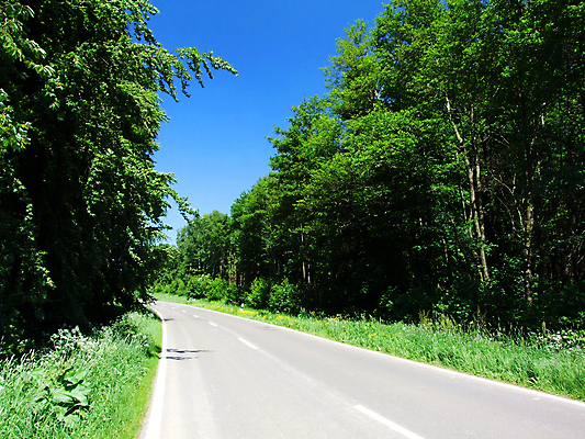 포토 JPG 해외이미지 사람없음 아스팔트 해외202004 해외포토 도로 파일형식 이미지허브
