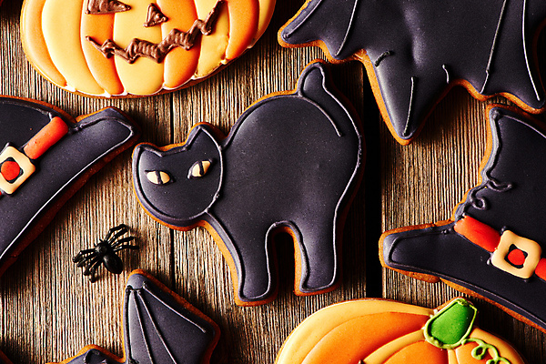 포토 JPG 해외이미지 백그라운드 탁자 디저트 미소 근접촬영 사람없음 장식 쿠키 고양이 할로윈 가을 달콤 거미 박쥐 마녀모자 잭오랜턴 핸드메이드 호러 해외202004 해외포토 모자_잡화 계절 음식 뷰포인트 가구 곤충 포유류 표정 반려동물 맛 공포 파일형식 이미지허브