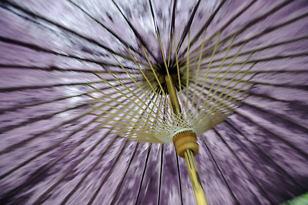 포토 JPG 해외이미지 아시아 우산 태국 사람없음 마을 동남아시아 제비꽃 타운 스타일 해외202004 해외포토 꽃 나라 도시 파일형식 이미지허브