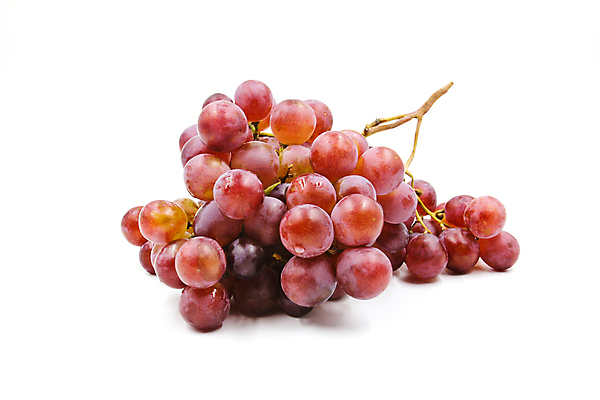 포토 JPG 해외이미지 식물 계절 열매 음식 백그라운드 과일 자연 포도 디저트 건강 사람없음 빨간색 여름 보라색 주스 가을 흰색 신선 달콤 다발 유기농 포도나무 고립 숙성 해외202004 해외포토 웰빙 음료 컬러 맛 과일나무 생태계 파일형식 이미지허브