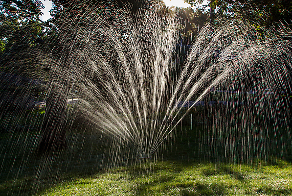 포토 JPG 해외이미지 포장 자연 풍경 잔디 사람없음 야외 초록색 물 여름 태양 반사 환경 정원 장비 성장 물방울 시골 신선 액체 떨어짐 수분 플라스틱 뿌리기 물주기 원예 조경 분무기 가뭄 호스 유지 샤워실 스프링쿨러 집주인 해외202004 해외포토 자연요소 식물 계절 컬러 컨셉 모션 재질 날씨 취미 생태계 주인 샤워시설 파일형식 이미지허브