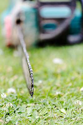 포토 JPG 해외이미지 직업 산업 백그라운드 안전 사람없음 목재 정원 힘 기계 장비 덮개 나뭇가지 도구 공구 업무 칼날 위험 장작 자르기 날카로움 먼지 엔진 잡동사니 벌목 수목 재주꾼 전기톱 조작 중고 톱밥 스타일 해외202004 해외포토 나무 컨셉 재료 모션 뚜껑 작업 가루 톱 파일형식 이미지허브