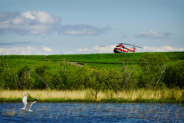 포토 JPG 해외이미지 나무 구름 호수 파도 여행 창문 교통시설 갈매기 조류 하늘 풍경 사람없음 빨간색 물 여름 파란색 빛 태양 여행객 흰색 칼날 구출 헬리콥터 단상 잔물결 착륙 해외202004 해외포토 자연요소 식물 동물 계절 물결 바다 컬러 교통 비행기 사람 도움 시설 파일형식 이미지허브