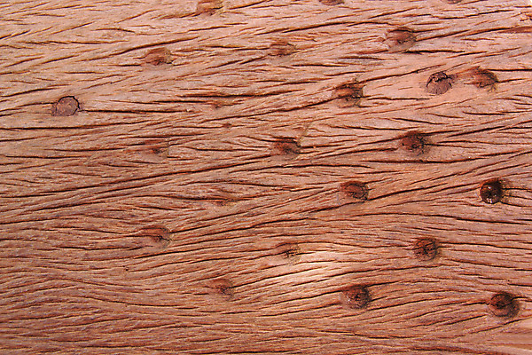 포토 JPG 해외이미지 스튜디오촬영 디자인 가구 백그라운드 패턴 탁자 추상 바닥 실내 사람없음 목재 장식 가로 빨간색 하이앵글 컬러풀 사무실 갈색 사무용품 화려 널 책상 질감 심플 결 수목 옛날 갈색배경 해외202004 해외포토 나무 뷰포인트 컬러 생활용품 컨셉 무늬 비즈니스 재료 문구용품 내부 파일형식 이미지허브