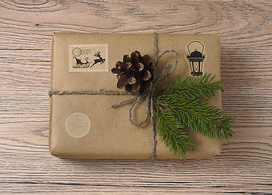 포토 JPG 해외이미지 리본 밧줄 백그라운드 크리스마스 포장 공 휴가 새해 선물 사람없음 장식 상자 갈색 라벨 흰색 나뭇가지 축하 인사 패키지 전나무 판지 핸드메이드 가문비나무 해외202004 해외포토 나무 기념일 줄 컬러 컨셉 프레임 예절 파일형식 이미지허브