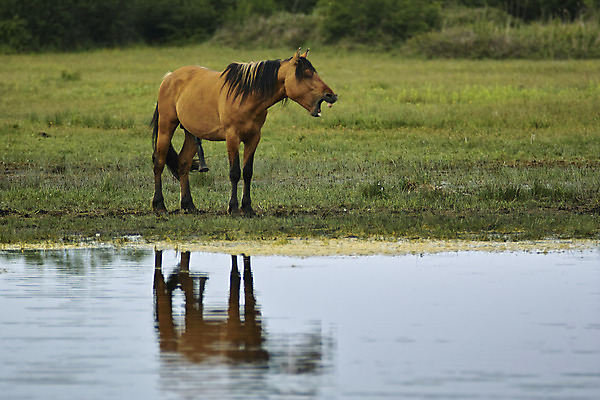 포토 JPG 해외이미지 사람없음 힘 프랑스 싸움 반항 찰과상 해외202004 해외포토 유럽 모션 상처 파일형식 이미지허브