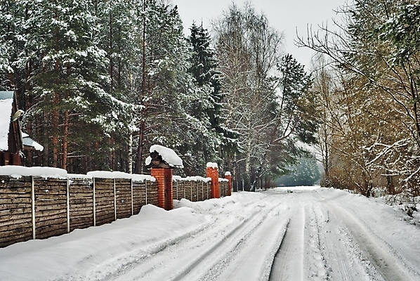 포토 JPG 해외이미지 나무 도로 길 겨울 자연 주택 풍경 사람없음 초록색 울타리 흰색 나뭇가지 소나무 숲 오두막 서리 전나무 가문비나무 해외202004 해외포토 식물 계절 컬러 교통시설 건물 담장 생태계 파일형식 이미지허브