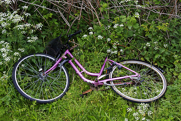 포토 JPG 해외이미지 식물 여자 분홍색 백그라운드 꽃무늬 교통시설 자연 덴마크 풍경 사람없음 야외 초록색 여름 햇빛 환경 자전거 벚꽃 시골 왼쪽 버리기 재촉 길가 스칸디나비아 해외202004 해외포토 계절 꽃 컬러 교통 컨셉 무늬 모션 북유럽 사람 태양 바이크 방향 시설 생태계 파일형식 이미지허브