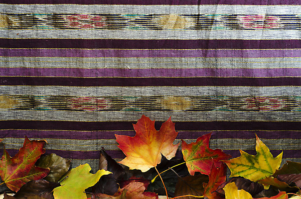 포토 JPG 해외이미지 계절 음식 백그라운드 단풍 잎 오렌지 과일 자연 프레임 사람없음 빨간색 초록색 컬러풀 노란색 공백 할로윈 가을 숲 질감 도토리 페이지 10월 플라타너스 카피스페이스 해외202004 해외포토 나무 식물 컬러 견과류 날짜 생태계 파일형식 이미지허브