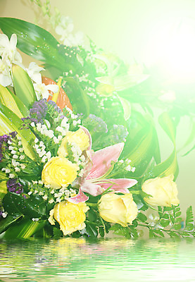 포토 JPG 해외이미지 식물 계절 공원 기념일 꽃잎 꽃 꽃다발 백그라운드 컨셉 잎 꽃무늬 밭 자연 하늘 추상 부활절 사람없음 초록색 빛 햇빛 태양 장미 노란색 우주 정원 맑음 봄 튤립 벚꽃 인사 신선 소프트포커스 4월 배열 꽃집 보케 내추럴 블러 그리너리 해외202004 해외포토 자연요소 공공시설 컬러 무늬 농업 날씨 촬영기법 이벤트 상점 예절 날짜 생태계 파일형식 트랜드컬러 이미지허브