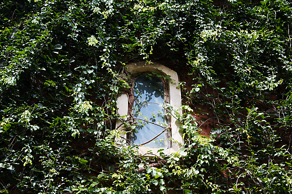 포토 JPG 해외이미지 전통 디자인 외관 벽 백그라운드 패턴 건축양식 창문 유리 날씨 추상 주택 프레임 미술 사람없음 야외 내부 건물 목재 장식 초록색 갈색 수확 골동품 흰색 시골 도시 오픈 묘사 질감 복고 타운 셔터 내추럴 고립 옛날 스타일 해외202004 해외포토 나무 건축물 건축 컬러 무늬 농업 재료 재질 문화예술 파일형식 이미지허브