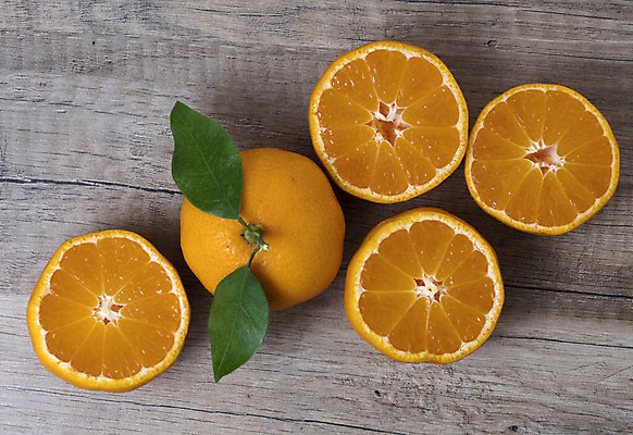 포토 JPG 해외이미지 음식 백그라운드 잎 다이어트 오렌지 과일 자연 탁자 디저트 귤 건강 사람없음 목재 초록색 노란색 시골 신선 그룹 닫기 달콤 맛 자르기 먹기 유기농 날것 내추럴 숙성 채식주의자 해외202004 해외포토 나무 식물 웰빙 컬러 가구 컨셉 재료 모션 생태계 채식 파일형식 이미지허브