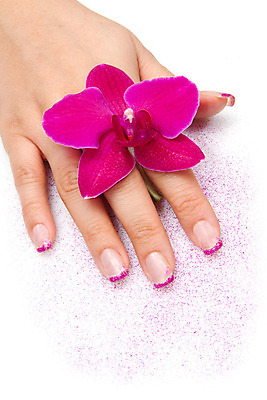 포토 JPG 해외이미지 손 여자 꽃잎 꽃 분홍색 백그라운드 컨셉 신체 손가락 휴식 건강 사람 사람없음 치료 상점 스파 화장품 엄지손가락 흰색 못 화려 난초 손톱관리 손톱 피부 크림 순수 피부관리 광택 팔 프랑스어 고립 돌봄 수분크림 완벽 이국적 해외202004 해외포토 식물 문자 컬러 의학 모션 신체부위 뷰티 공구 네일아트 파일형식 이미지허브