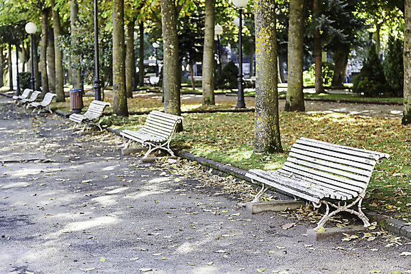 포토 JPG 해외이미지 나무 계절 공원 도로 길 가구 백그라운드 잎 벤치 의자 오렌지 자연 휴식 풍경 사람없음 야외 목재 빨간색 초록색 여름 울타리 햇빛 갈색 노란색 평화 우주 정원 침묵 봄 가을 시간 고독 장면 10월 옛날 해외202004 해외포토 식물 공공시설 감정 컬러 생활용품 컨셉 과일 재료 교통시설 담장 태양 소리 날짜 생태계 파일형식 이미지허브