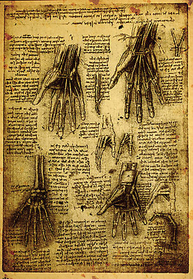 포토 JPG 해외이미지 교육 남자 종이 과학 신체 일러스트 텍스트 해부 미술 사람 사람없음 건강관리 이탈리아 손상 수확 골동품 역사 스케치 심볼 과학자 그림 질감 생물학 페이지 그런지 옛날 해외202004 해외포토 직업 유럽 컨셉 농업 의학 문화예술 건강 관리 학자 파일형식 이미지허브