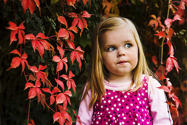 포토 JPG 해외이미지 백인 모델 1 응시 계절 여유 백그라운드 단풍 잎 자연 한명 사람 빨간색 청춘 가을 표현 숲 10월 해외202004 해외포토 서양인 식물 시선 감정 컬러 컨셉 날짜 생태계 파일형식 이미지허브