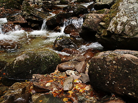 포토 JPG 해외이미지 나무 계절 공원 여행 백그라운드 잎 패턴 모션 자연 벽지 추상 산 이끼 풍경 사람없음 야외 목재 빨간색 초록색 물 강 갈색 노란색 환경 침묵 젖음 흐름 가을 바위 흰색 시골 신선 개울 숲 내추럴 해외202004 해외포토 자연요소 식물 공공시설 컬러 컨셉 무늬 재료 소리 돌_바위 생태계 파일형식 이미지허브