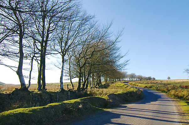 포토 JPG 해외이미지 나무 식물 구름 유럽 도로 하늘 영국 잉글랜드 풍경 사람없음 초록색 갈색 시골 언덕 해외202004 해외포토 자연요소 나라 길 컬러 교통시설 파일형식 이미지허브
