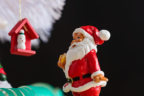 포토 JPG 해외이미지 나무 전통 계절 리본 백그라운드 크리스마스 겨울 공 휴가 새로움 선물 사람없음 목재 장식 빨간색 초록색 빛 산타클로스 우주 보라색 축제 화환 수확 흰색 축하 인사 소나무 그룹 12월 연도 묘사 활 복고 엽서 2014년 2015년 침엽수 전나무 2016년 가문비나무 스타일 2017년 해외202004 해외포토 식물 기념일 꽃 컬러 컨셉 농업 재료 예절 날짜 편지 파일형식 이미지허브