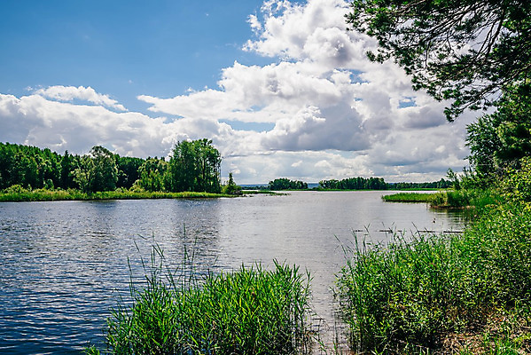 포토 JPG 해외이미지 나무 계절 공원 호수 여행 잎 오렌지 자연 하늘 아침 낚시 날씨 휴가 휴식 풍경 사람없음 야외 목재 초록색 물 여름 파란색 강 평화 환경 항구 침묵 가을 시골 연못 숲 러시아 삼림지대 생태학 해외202004 해외포토 주간 자연요소 식물 공공시설 교육 유럽 컬러 컨셉 과일 재료 교통시설 레저 소리 생태계 파일형식 이미지허브