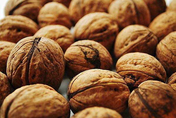 포토 JPG 해외이미지 음식 다이어트 과일 자연 건조 건강 사람없음 갈색 견과류 흰색 호두 고립 해외202004 해외포토 컬러 생태계 파일형식 이미지허브