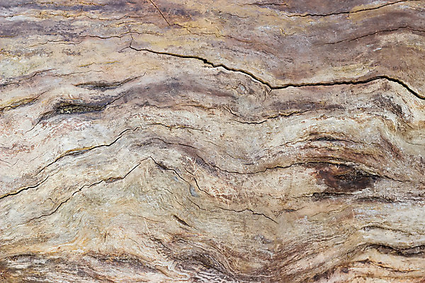 포토 JPG 해외이미지 나무 식물 백그라운드 자연 표면 추상 건조 사람없음 목재 어둠 죽음 균열 질감 통나무 시들음 옛날 해외202004 해외포토 무늬 재료 모션 생태계 파일형식 이미지허브