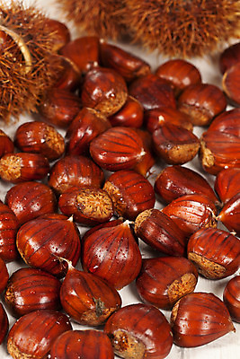 포토 JPG 해외이미지 계절 음식 백그라운드 과일 사람없음 갈색 가을 유기농 스파이크 내추럴 해외202004 해외포토 웰빙 컬러 파일형식 이미지허브