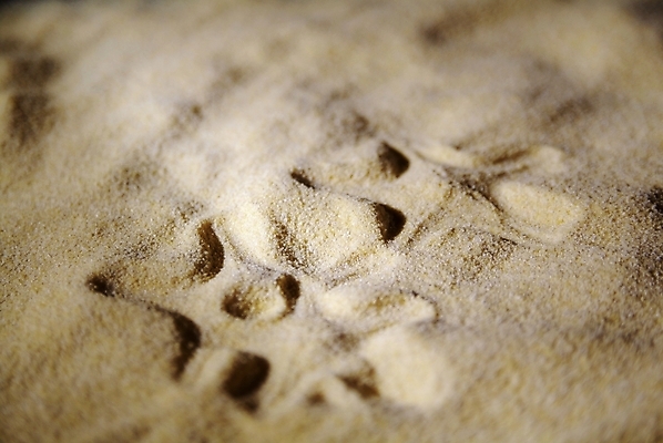 포토 JPG 해외이미지 사람없음 재산 정상 해외202004 해외포토 금융 파일형식 이미지허브